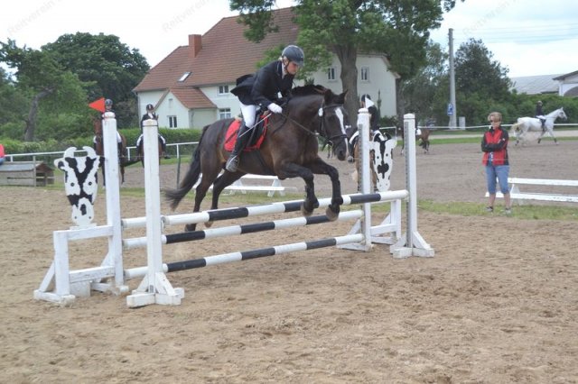 reitertag 2013 58